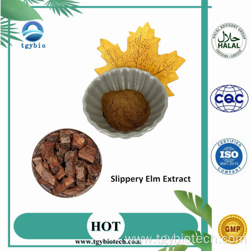 100% Natural Slippery Elm Bark Extract 4:1~20:1